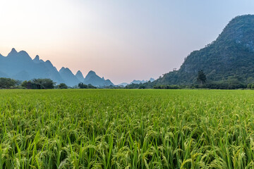 智能汽车行驶动力学建模与多目标优化控制技术(关于智能汽车行驶动力学建模与多目标优化控制技术的简介)